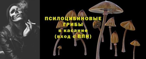 не бодяженный Россошь