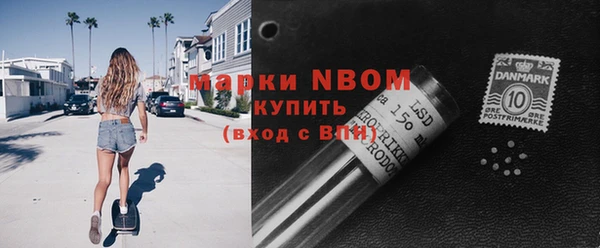 крисы Ростов